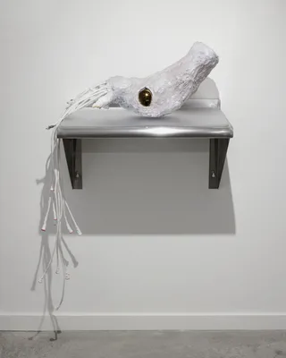 20131017 Alex Fischer Dry Pixels and Wet Molecules O'Born Contemporary 30 Ammonite documentation.jpg